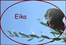 Eika