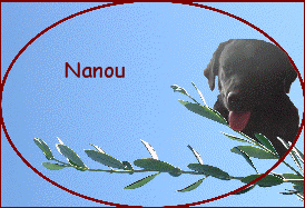 Nanou