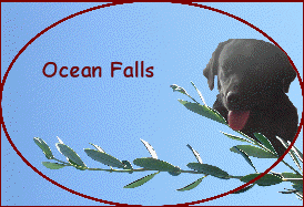 Ocean Falls