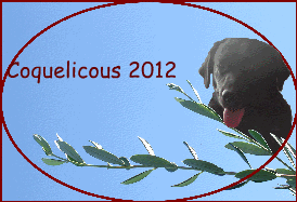 Coquelicous 2012