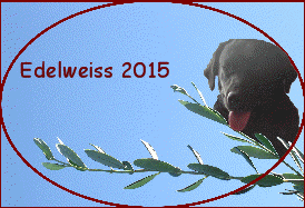 Edelweiss 2015