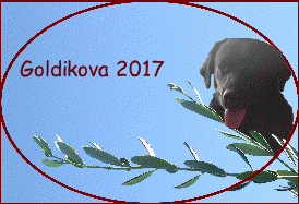 Goldikova 2017
