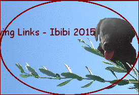 Living Links - Ibibi 2015