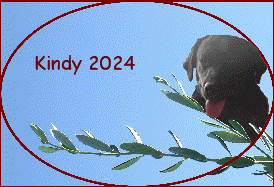 Kindy 2024