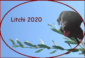 Litchi 2020