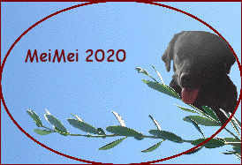 MeiMei 2020