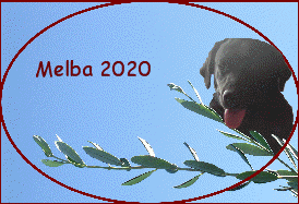 Melba 2020