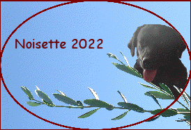 Noisette 2022