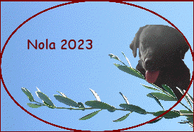 Nola 2023