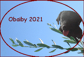 Obaby 2021