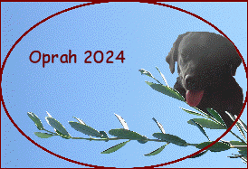 Oprah 2024