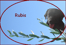 Rubis