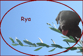 Rya