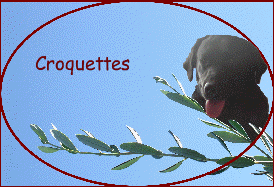 Croquettes