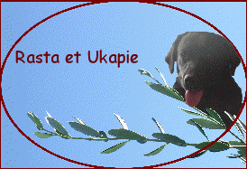 Rasta et Ukapie